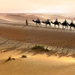camel ride sahara desert tour